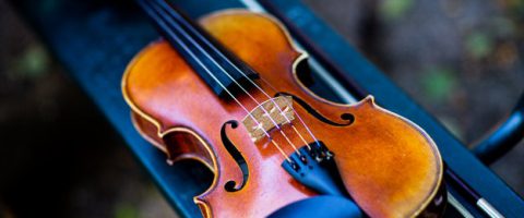A violin resting on its case outdoors.