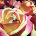 http://www.publicdomainpictures.net/view-image.php?image=31759&picture=engagement-ring-in-roses