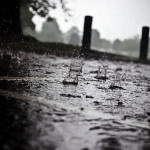 http://www.publicdomainpictures.net/view-image.php?image=23187&picture=rain