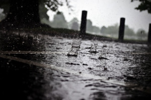 http://www.publicdomainpictures.net/view-image.php?image=23187&picture=rain
