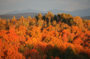 VermontFoliage