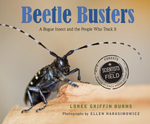beetle_busters