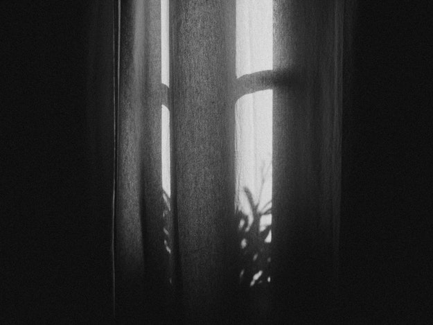 Dark curtain with outline of a plant's shadow, blocking out light.