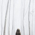 Someone walking in a foggy woods.