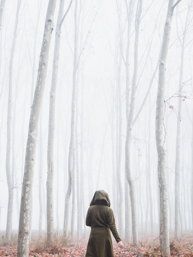 Someone walking in a foggy woods. 