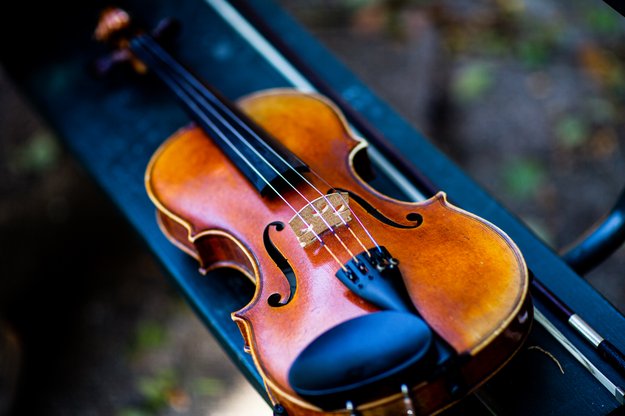 A violin resting on its case outdoors.