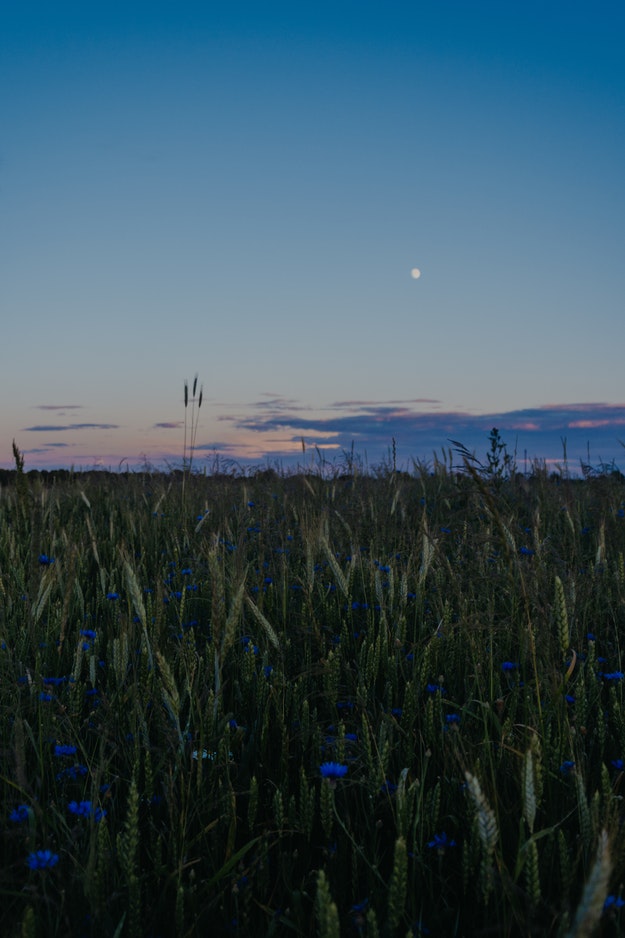 grass field at night where superhero lands