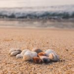Sea shells on golden sand before crashing waves