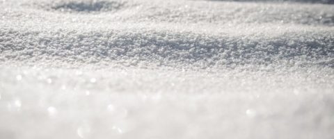 Powdered snow on the ground
