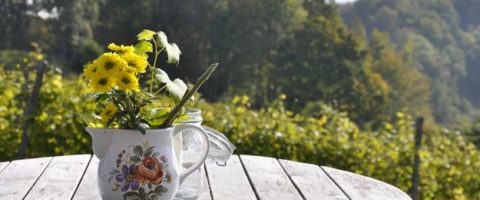 Flowers in vase on table