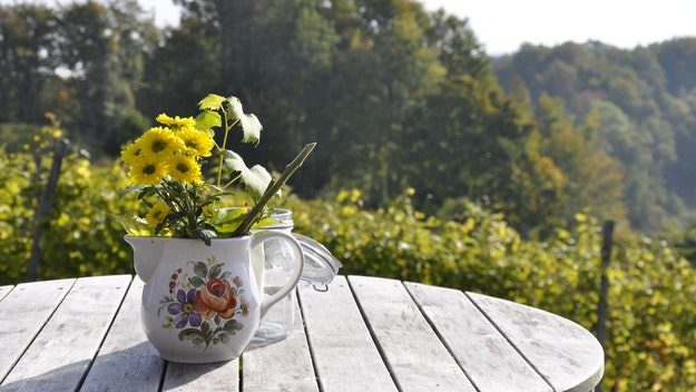 Flowers in vase on table