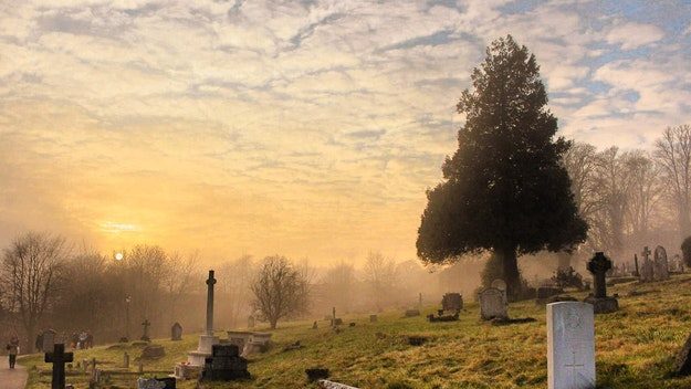 Morning sun shining onto a hillside graveyard