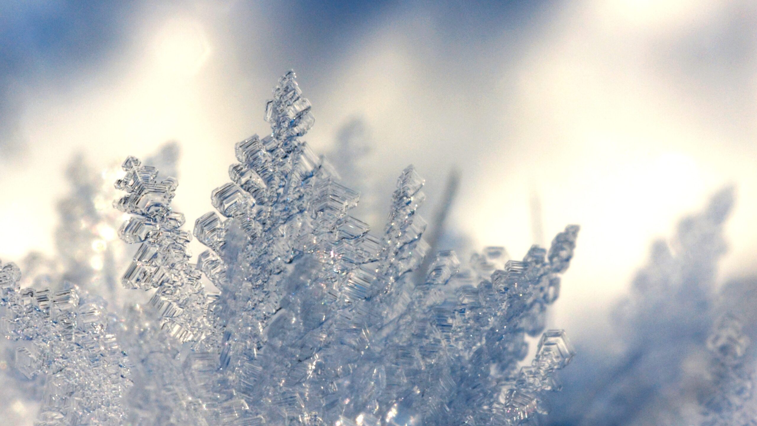 Snowflake glistening in the sun