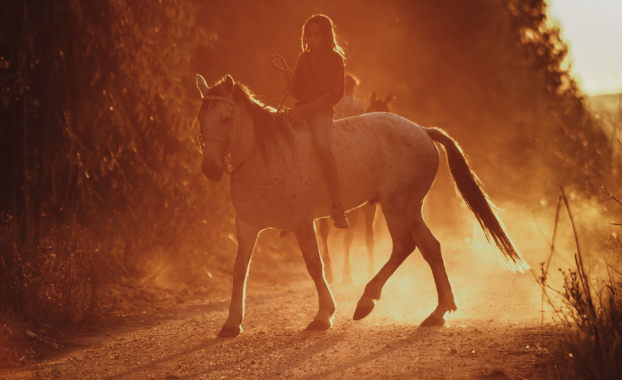 A partially silhouetted figure riding a horse at sunset
