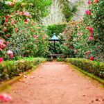Path leading to a table in a garden of pink and red flowers