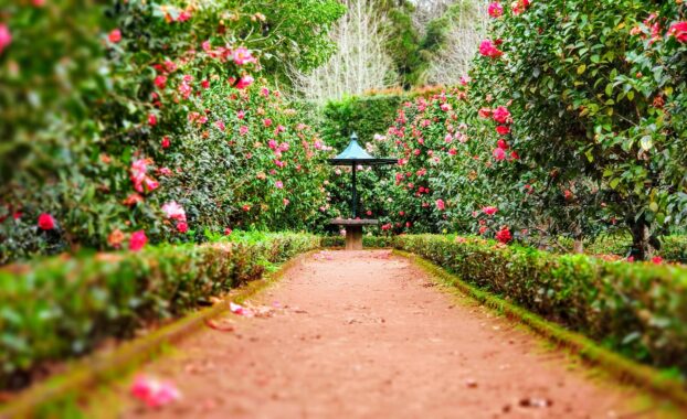 Path leading to a table in a garden of pink and red flowers